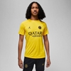 Picture of Nike Koszulka Nike PSG DF Academy Pro SS Top PM 4TH DR4906 720