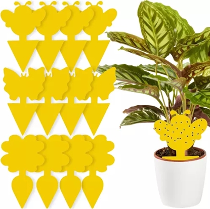 Picture of Repest Lep na owady- 12szt. 19053