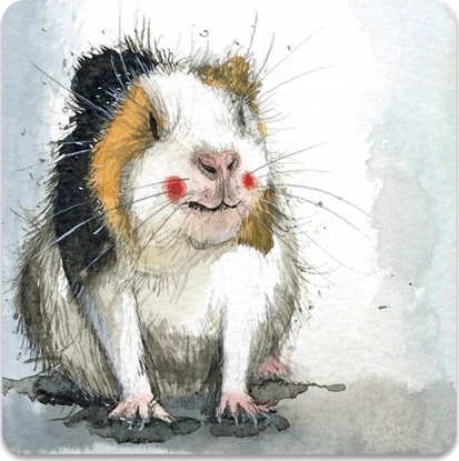 Picture of Teka Magnes FM248 ¦winka morska