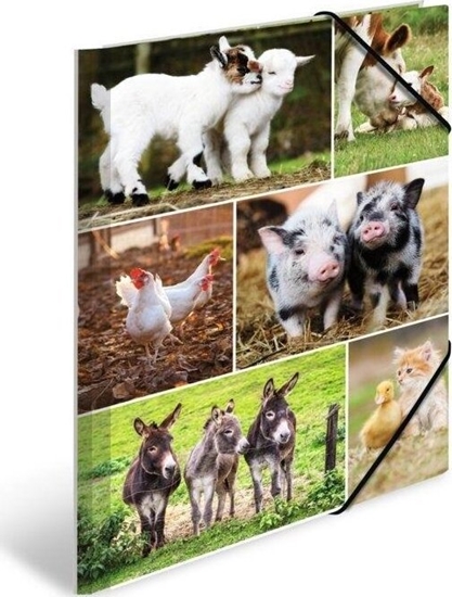 Picture of Teka Teczka A4 gumki narone - Zwierzta wiejskie