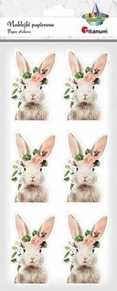 Изображение Titanum Naklejki papierowe zajc 6szt.