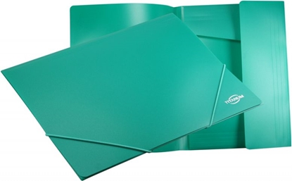 Изображение Titanum Teczka z gumk A4 (TGg4GR)