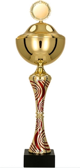 Изображение Victoria Sport Puchar metalowy z przykrywk