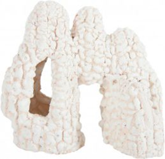 Изображение Zolux Skaa KORAL model 1