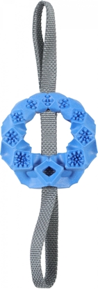 Picture of Zolux ZOLUX Zabawka dla psa piercie TPR Outdoor kol. niebieski