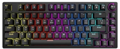 Attēls no Klaviatūra Savio Phenix Gateron Yellow Pro