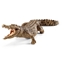 Attēls no Schleich Wild Life Crocodile
