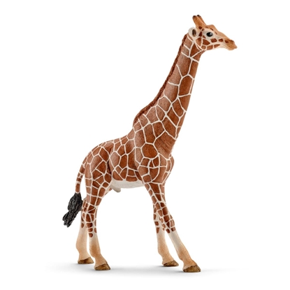 Attēls no schleich Wild Life Giraffe, Male