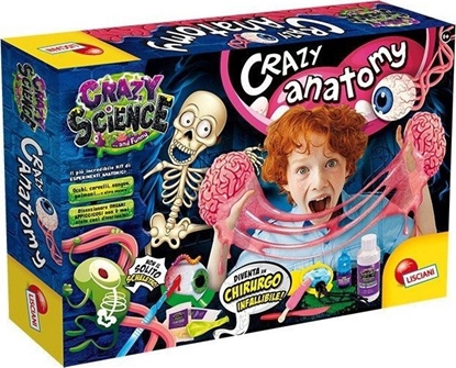 Изображение Lisciani Laboratorium zwariowanej anatomii (80663)