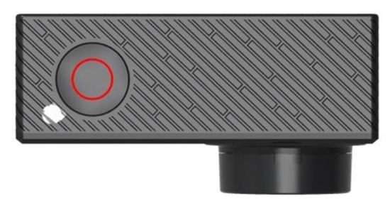 Picture of Siku mieciarka - 1890