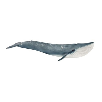Picture of Schleich Wild Life         14806 Blue Whale
