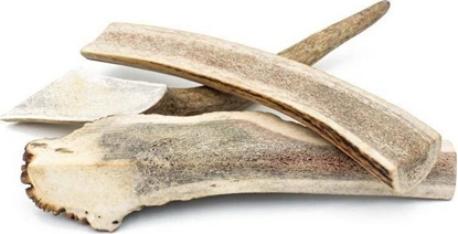 Attēls no 4DOGS 4Dogs Easy Jeleniówki Gryzak Dla Psa Z Poroa XXL 20cm