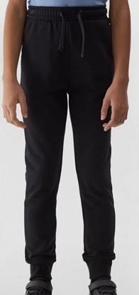 Attēls no 4f Spodnie 4F 4FJWSS24TTROF587 83S