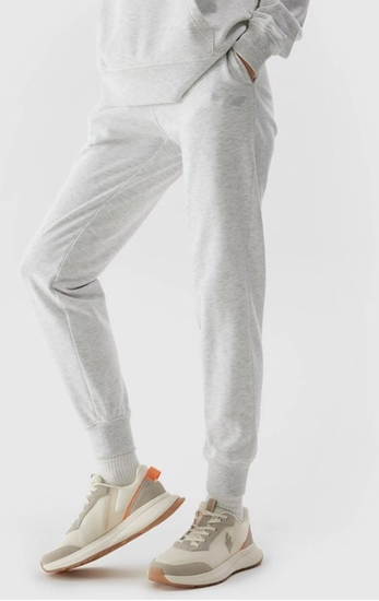 Picture of 4f Spodnie 4F 4FWSS24TTROF606 27M