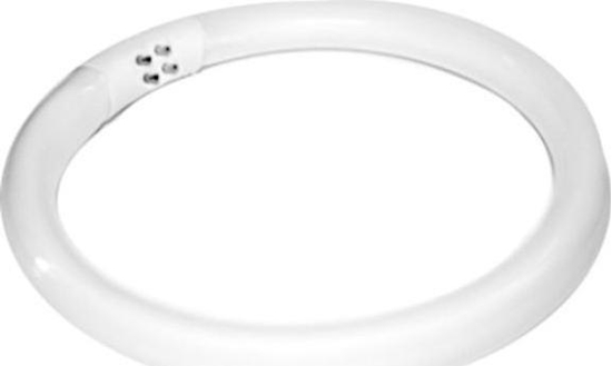 Picture of Activeshop ARÓWKA (WIETLÓWKA) 22W LAMPA LUPA S4