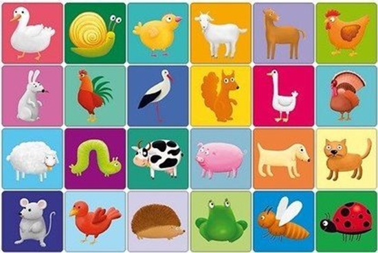 Picture of Adamigo Gra Farma memory