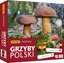 Picture of Adamigo Gra Memory - Grzyby Polski