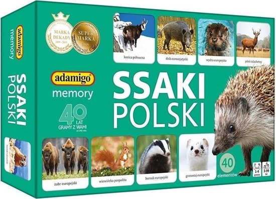 Picture of Adamigo Ssaki Polski memory