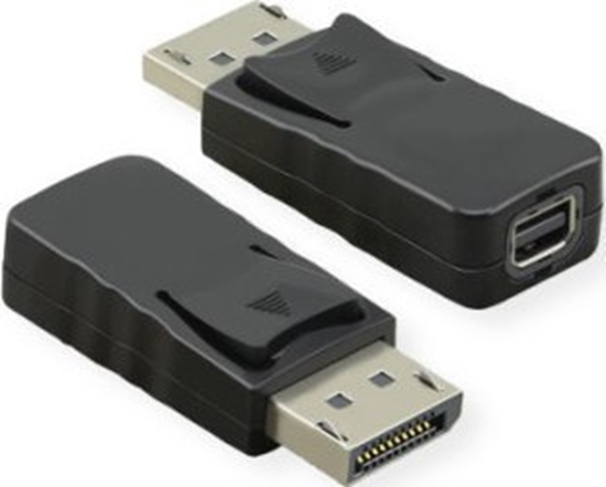 Picture of Adapter AV Triton VALUE Adapter DisplayPort, DP mski - Mini DP eski