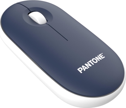 Picture of Adapter USB Pantone Con Dongle Navy
