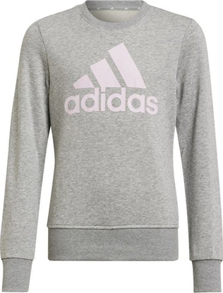 Attēls no Adidas Bluza adidas Big Logo SWT HM8706
