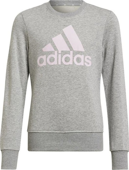Picture of Adidas Bluza adidas Big Logo SWT HM8706