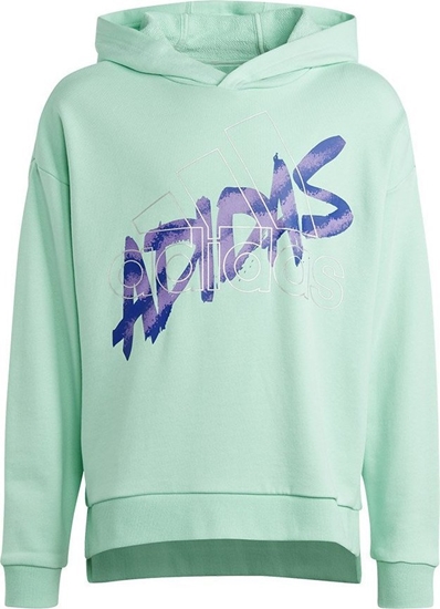 Picture of Adidas Bluza adidas D Hoody Jr HR5825