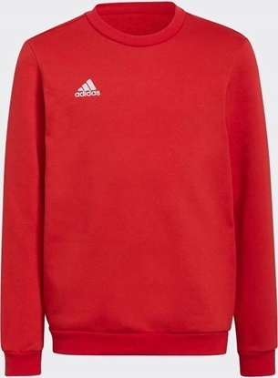Attēls no Adidas Bluza adidas ENTRADA 22 Sweat Top Y H57473
