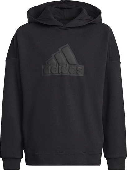 Picture of Adidas Bluza adidas FI Logo HD Jr HR6301