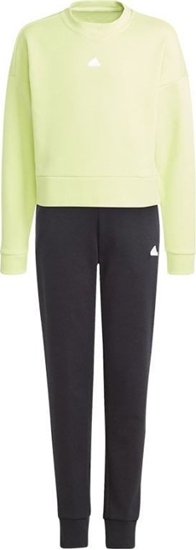 Picture of Adidas Dres adidas FI Logo TS girls Jr IC0101