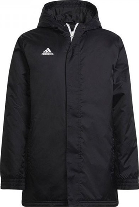 Picture of Adidas Kurtka adidas ENTRADA 22 Stadium Jacket Y H57569