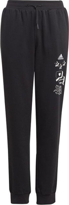 Picture of Adidas Spodnie adidas BLUV Q3 Pant Jr IA1553