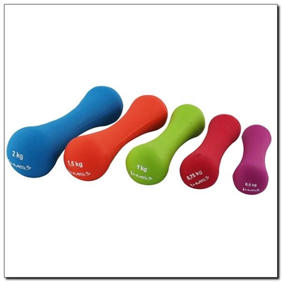 Picture of Aerobikas hanteles (1 gab.) 17025 1.5 KG HMS