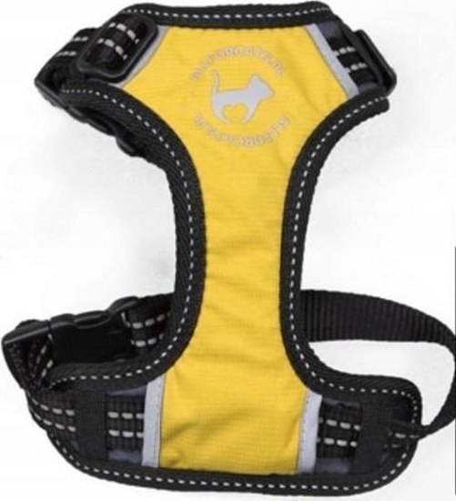 Picture of All For Dogs ALL FOR CATS SZELKI SPORTOWE XS ÓTE