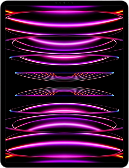 Picture of Tablet Apple iPad Pro 12.9" 6 gen. 1 TB Szary (MNXW3FD/A)