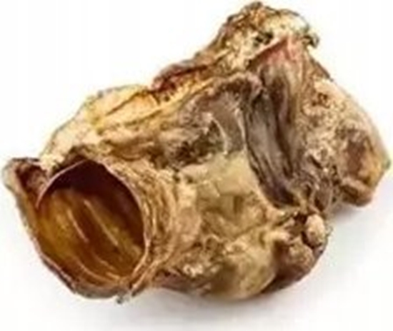 Picture of Arami ARAMI B KRTA WOOWA