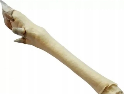 Изображение Arami ARAMI B RACICA SARNY BIAA 1 szt.