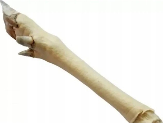 Picture of Arami ARAMI B RACICA SARNY BIAA 1 szt.