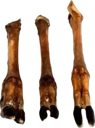 Attēls no Arami Arami Racica Jelenia dla Psa 1szt.