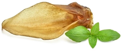 Attēls no ARAMI C UCHO SARNY 1szt.