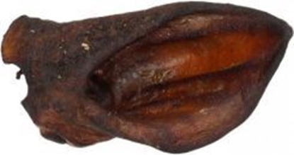 Attēls no Arami Ucho dzika 2szt.