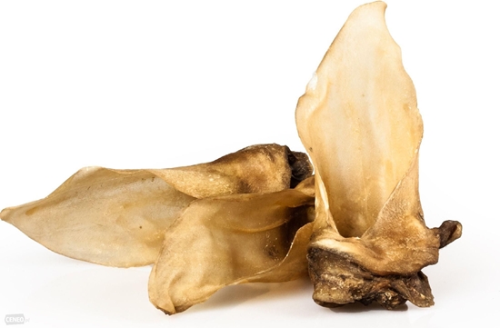 Picture of Arami Ucho Jelenia 10szt