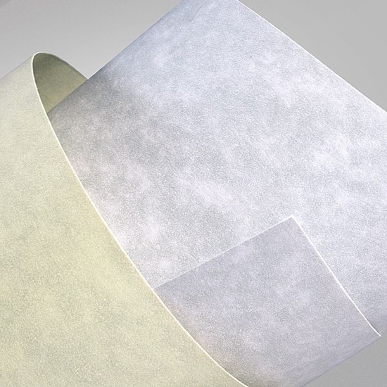 Picture of Argo Karton A4 granit krem 220g