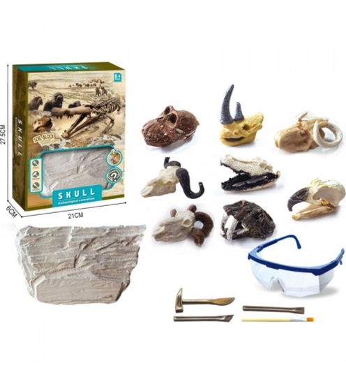 Picture of Arheoloģiskais izrakumu komplekts Dzīvnieku galvaskausi dažādas HW23138314