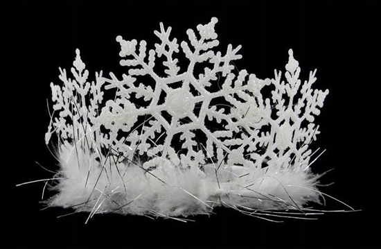 Picture of Arpex Tiara nieynki
