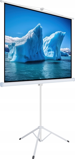Picture of Ekran do projektora Art ART MANUAL SCREEN ON A TRIPOD 70inch 178x178cm TA-70 1:1
