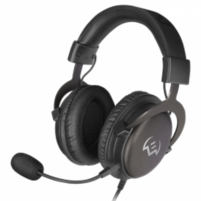 Picture of Austiņas Sven AP-G999MV