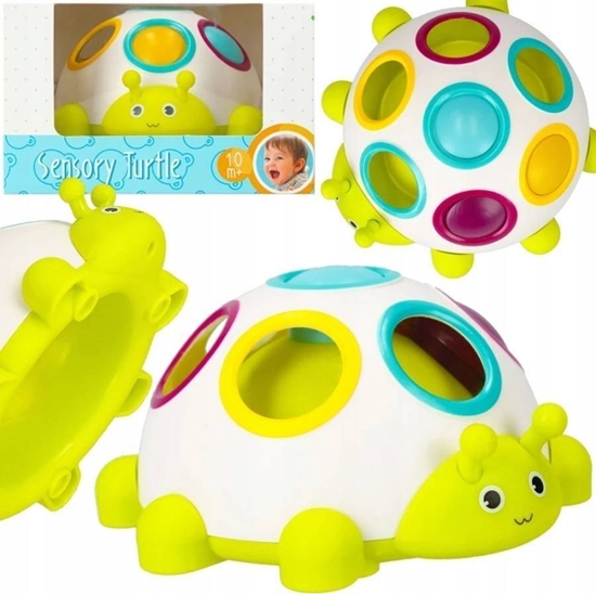 Picture of BamBam BAM BAM ZAB SENSORYCZNA ZOLWIK 13X8X13 WB 90