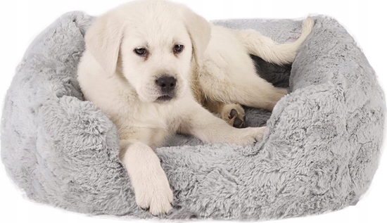 Picture of Barry King BEST FRIENDS LOUNGE LUX LEGOWISKO         50x38cm JASNO-SZARE