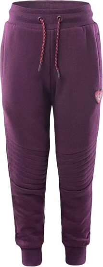 Picture of Bejo Dziecice Spodnie TIGOS KDG